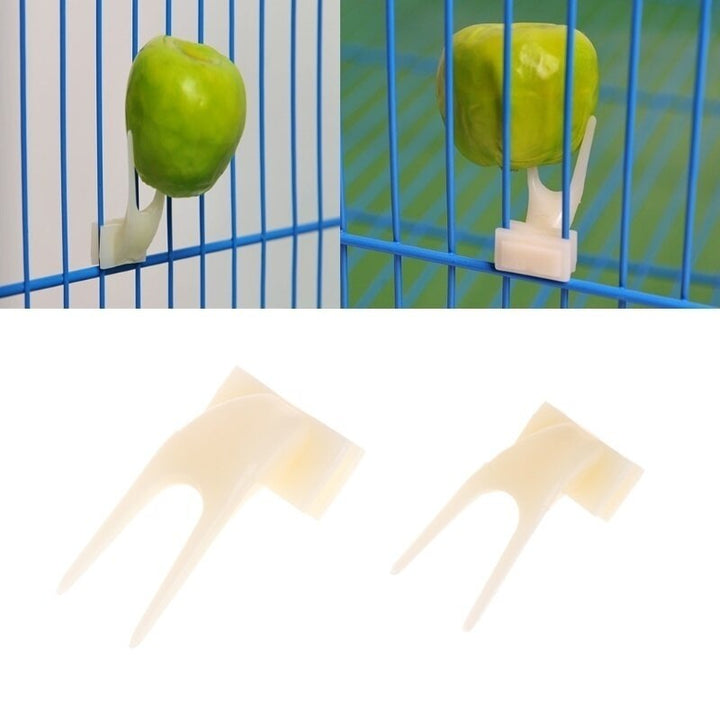 Birds Parrots Fruit Fork