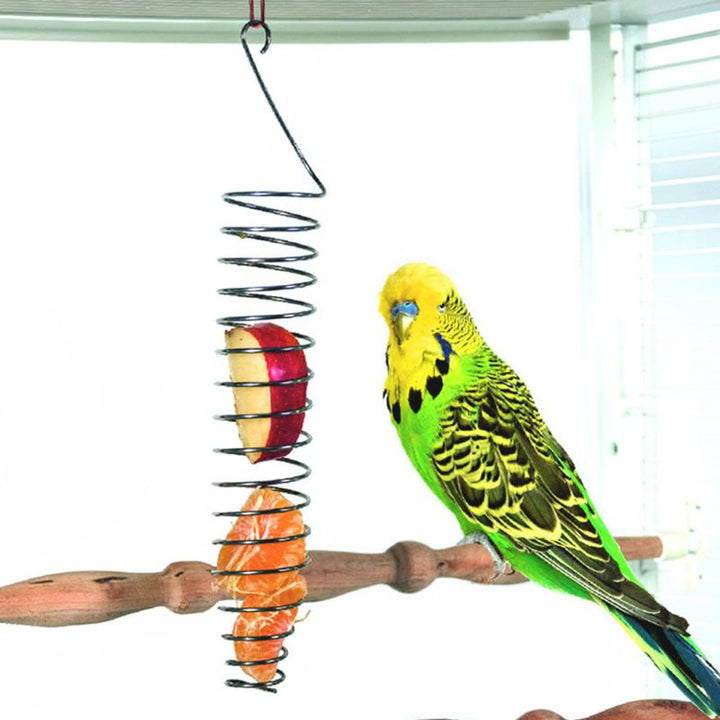 Stainless Steel Bird Parrot Feeder