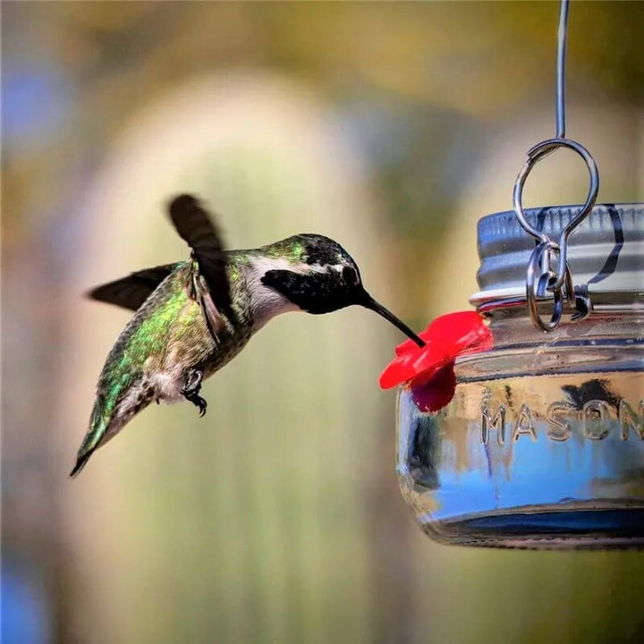 Hummingbird Feeder with Flower Feeding Ports