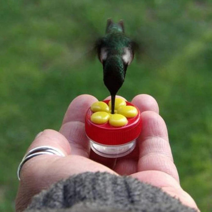 Handheld Hummingbird Food Dispenser