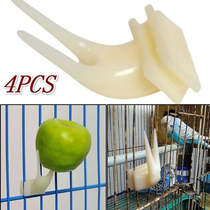 Birds Parrots Fruit Fork