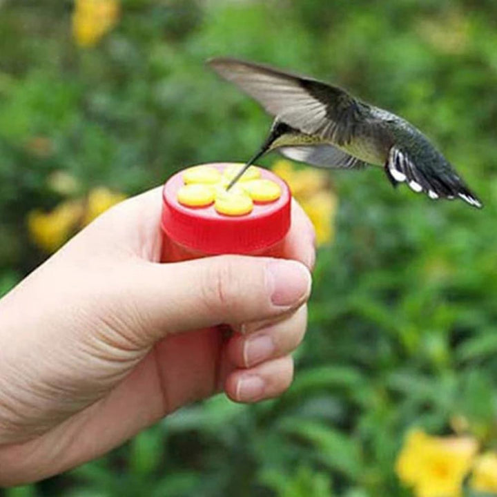 Handheld Hummingbird Food Dispenser